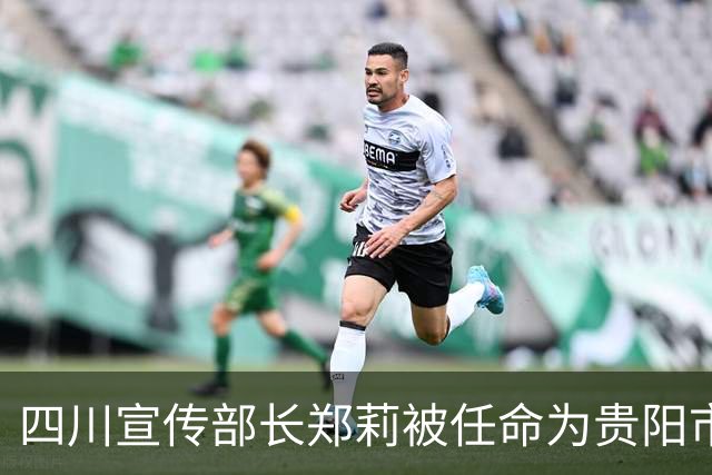 四川宣传部长郑莉被任命为贵阳市委书记，邱俊即将换职