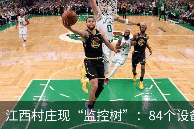 江西村庄现“监控树”：84个设备仅一功能可用