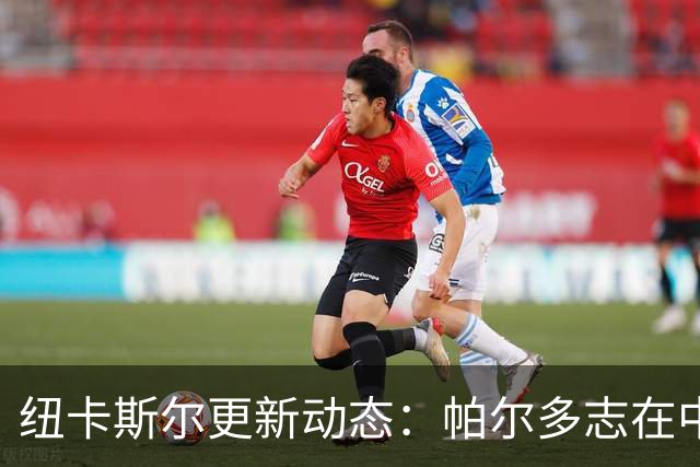 纽卡斯尔更新动态：帕尔多志在中锋位置，布阿迪曾受关注